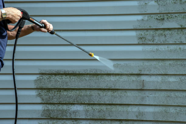 Best Gutter Cleaning  in Lackawanna, NY
